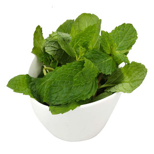 薄荷叶新鲜食用调酒装饰香料留兰香薄荷农家奶茶店用品蔬菜500g