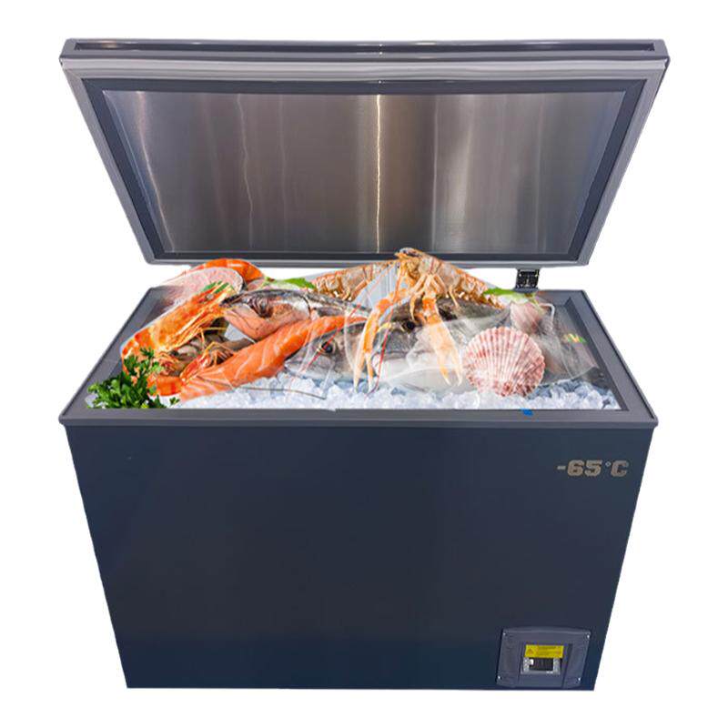 冰星零下60度海鲜超低温冰柜家用