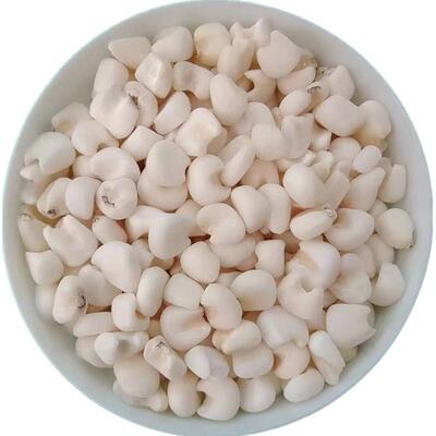 大颗粒白糯玉米粒雪芽米大碴子2025年新广西忻城粘糯玉米脱皮10斤