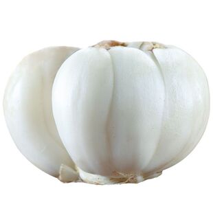 【兰州百合】特级新鲜百合新挖三头皇食用甜百合甘肃特产百合包邮