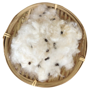 天然带籽木棉花枕头有籽木棉枕芯攀枝花子棉絮枕心填充物植物纤维