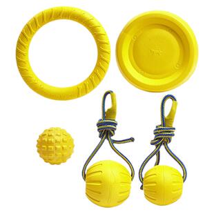 狗狗玩具训练飞盘拉环磨牙耐咬解闷中大型小型犬边牧柯基互动神器