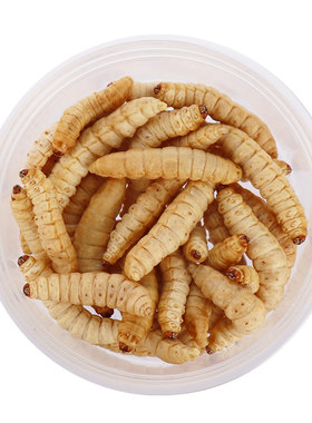 小囧家宠物零食冻干玉米虫