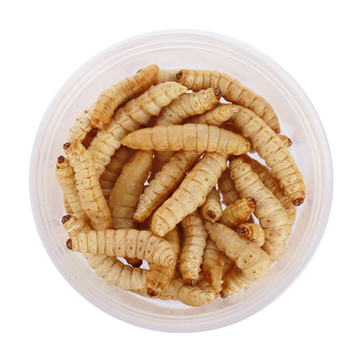 小囧家宠物零食冻干玉米虫