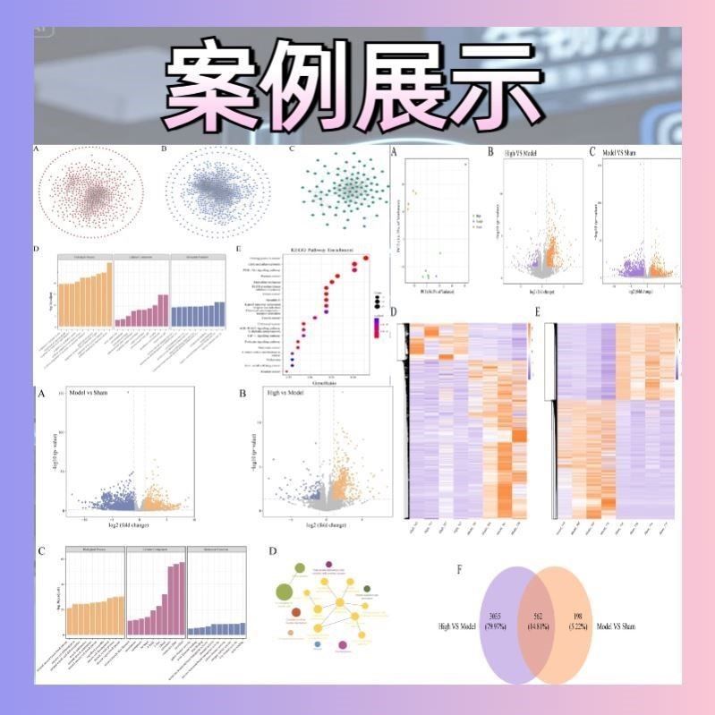 药物处理转录组分析 差异表达 通路扰动 机制推测
