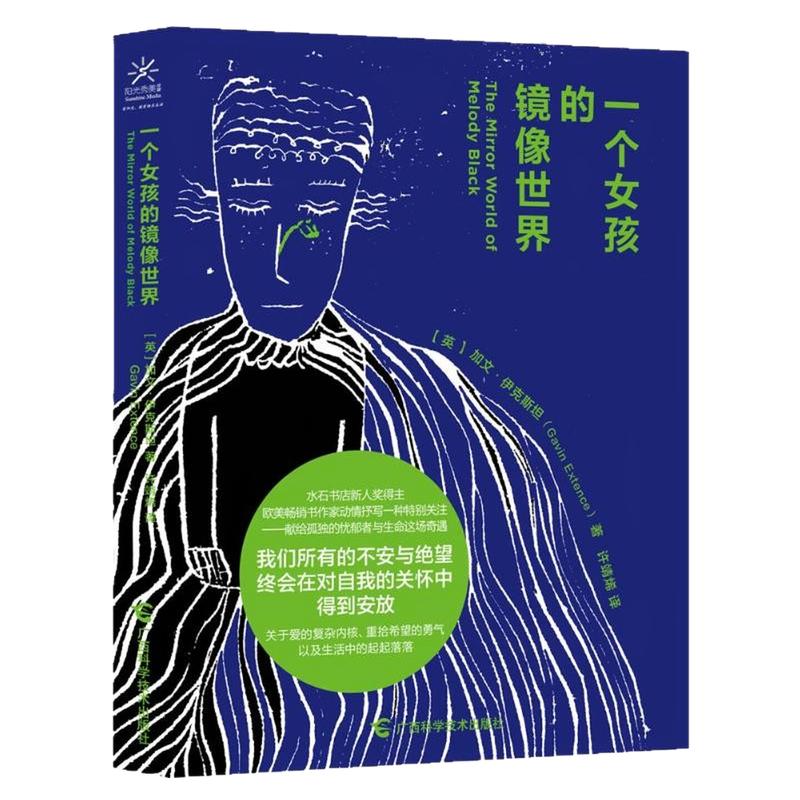 一个女孩的镜像世界外国小说书