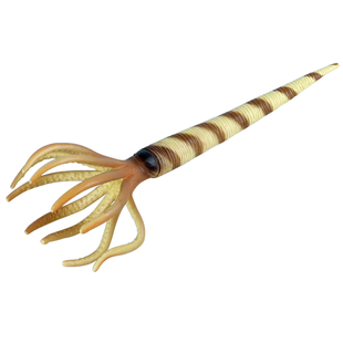 林畅模玩奥陶纪史前海洋生物房角石模型儿童仿真动物玩具远古巨兽