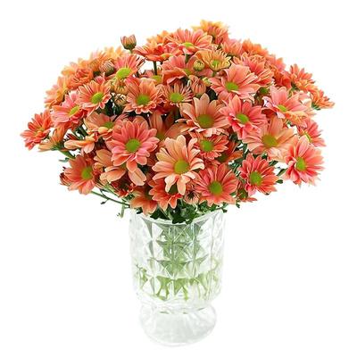 小雏菊小清新鲜花同类型鲜花推荐