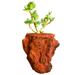 多肉老桩高款火山石花盆兰花菖蒲专用透气创意个性石头特大号绿植