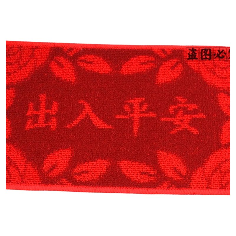 地毯吸尘防滑门厅玄关浴室垫