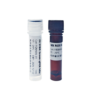 探针法 Probe qPCR Mix MultiPlus 定量PCR试剂 科研试剂 FWKNE