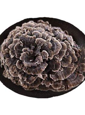 屼山芝 屼山灵芝 50克官网正品屼山灵芝【买二送一】屼山芝杞茶M9