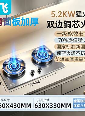 新飞天然气5.2kw燃气灶双灶家用台嵌两用灶具70高热效聚能