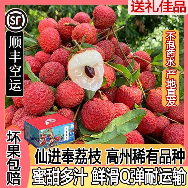 顺丰冷链广东茂名高州平山老树白糖罂荔枝头茬新鲜现摘送礼盒装
