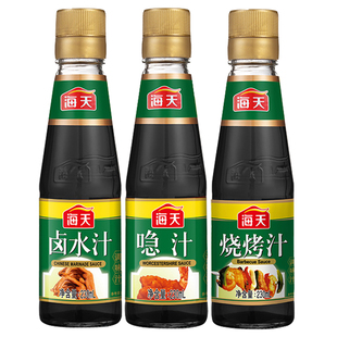 海天烧烤汁卤水汁烤肉鸡翅露营叉烧腌肉制小炒焖煮BBQ调味汁调料