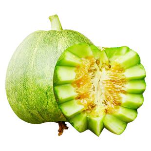 超甜冰糖子甜瓜种籽花蜜特甜香瓜种子高产春秋季种孑阳台盆栽瓜苗