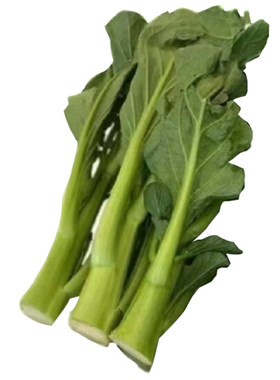 高端板蓝根菜苔油青菜心种籽种子甜四季蔬菜菜籽适合春天种的菜
