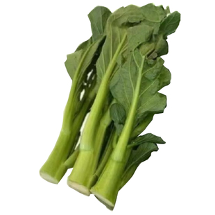 高端板蓝根菜苔油青菜心种籽种子甜四季蔬菜菜籽适合春天种的菜