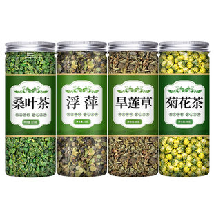 桑叶浮萍旱莲草菊花各15克中药材正品官方旗舰店新鲜泡水茶喝功效