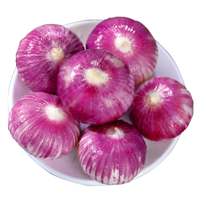 紫皮蒜独头蒜云南新鲜大蒜头