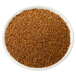 菟丝子中药材500g内蒙野生大菟丝子五味子沙苑子菟丝子枸杞泡茶水