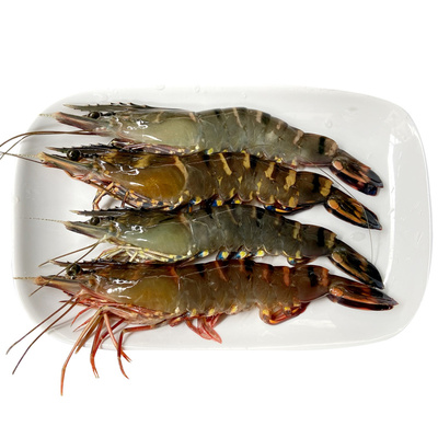 特大黑虎虾一斤两盒约15条左右