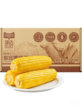 猫超臻选东北黄糯玉米