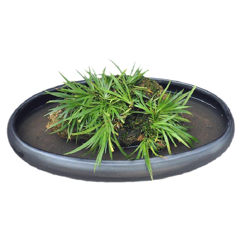 景德镇陶瓷器哑光椭圆包邮花盆