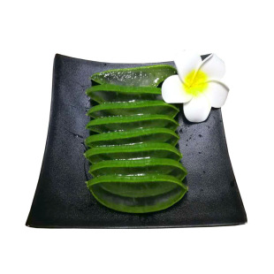 美国库拉索芦荟叶子新鲜大叶片芦荟美容奶芦荟灌肤食用吃包邮