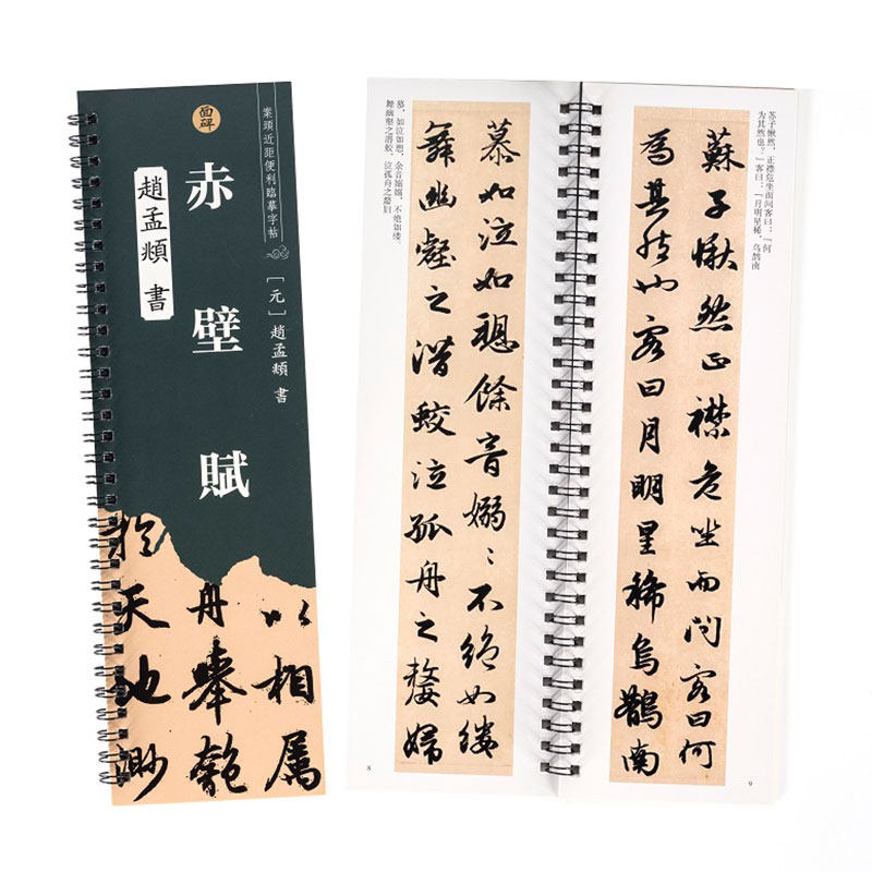 前后赤壁赋赵孟頫行书字帖