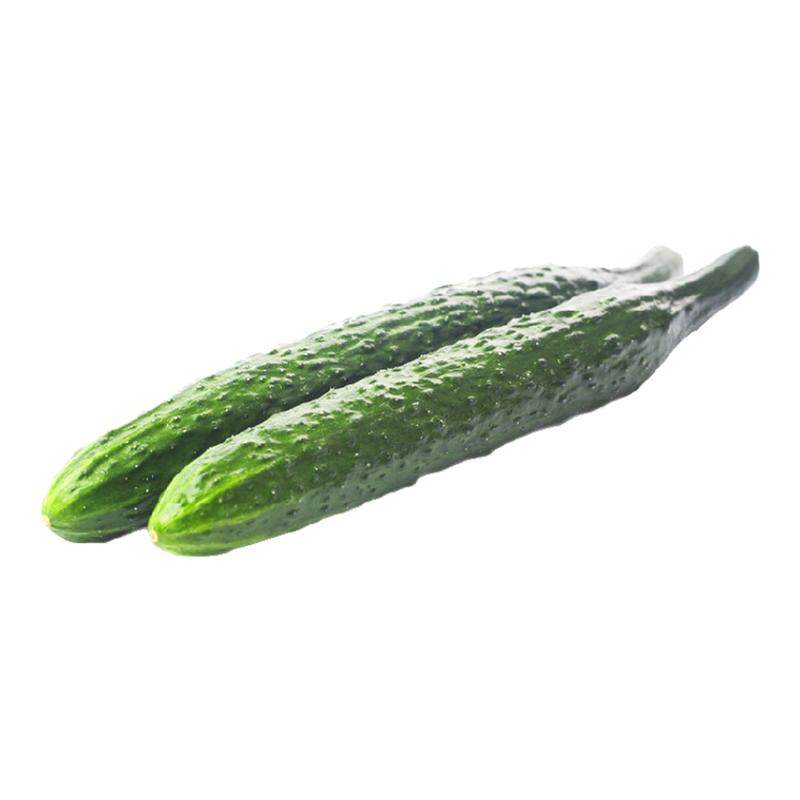 沁蕊新鲜带刺1000g大黄瓜