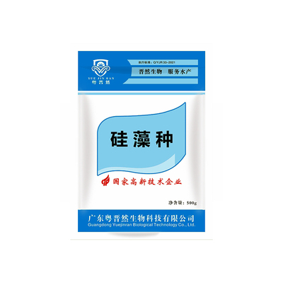 硅藻藻种粤晋然水产养殖肥水培藻