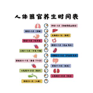 艾灸馆装饰画中医人体器官养生店时间形象图文化背景墙面氛围布置