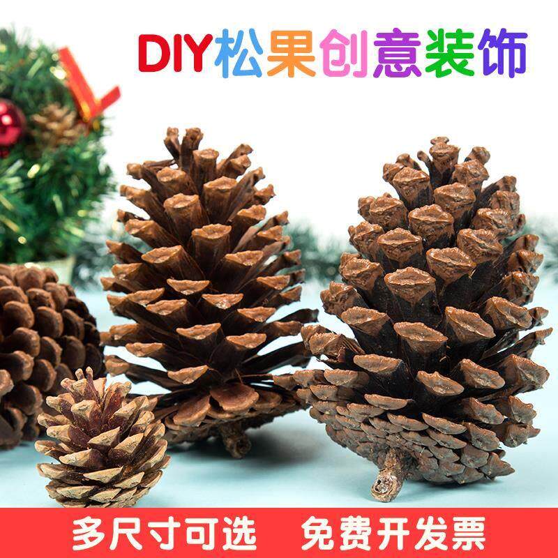 巨型大松果干花松塔装饰摆台幼儿园diy果实装饰复古森系摄影道具