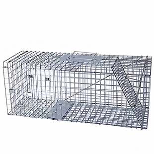 诱捕猫笼折叠自动抓猫神器大号捕狗笼流浪狗人道救助逮狗捉猫通用