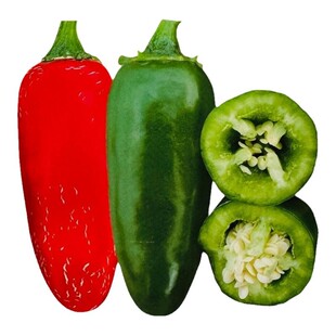 港椒种子墨西哥辣椒种籽香辣贡椒子弹头泡椒腌渍咸菜专用蔬菜种孑