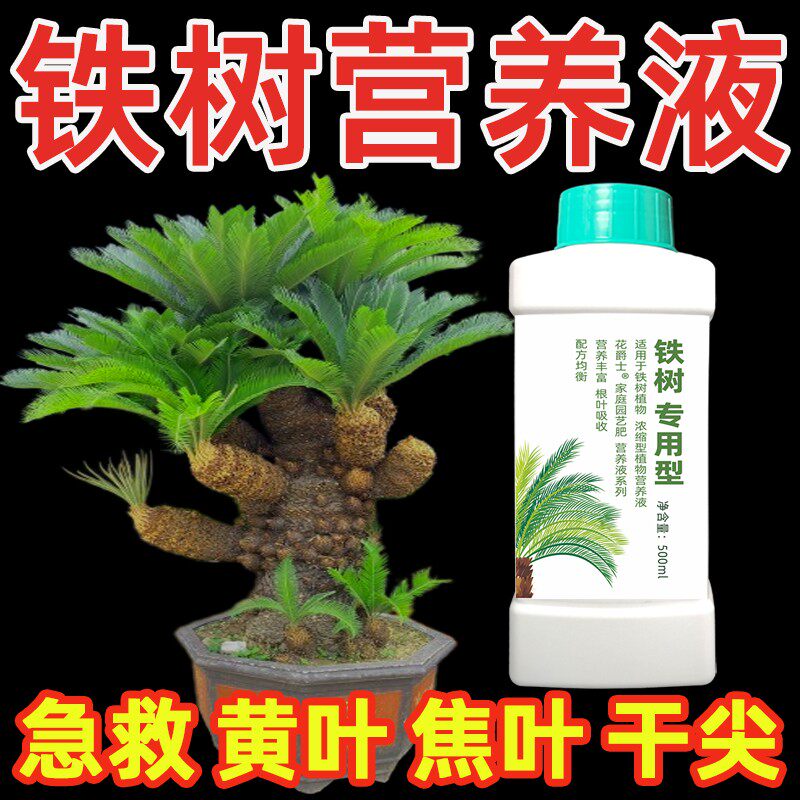 铁树植物营养液铁树盆景肥料苏铁树盆栽专用肥料防黄叶干枯专用药