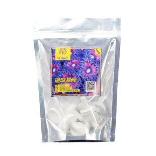 东杰聊海珊瑚基座断枝座 sps断枝繁殖座陶瓷基座纽扣基座断肢座