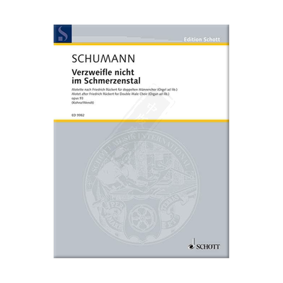 舒曼不要在这痛苦的山谷里绝望