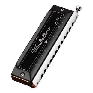 天鹅半音阶口琴12孔10c调十二孔专业演奏级初学者入门官方旗舰店