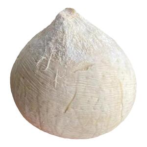 海南椰皇三亚小奶椰牛奶椰子去皮香椰当季水果孕妇水果