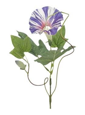 现 纽约下城公园进口自由自在清晨牵牛花仿真花枝装饰花枝高38cm
