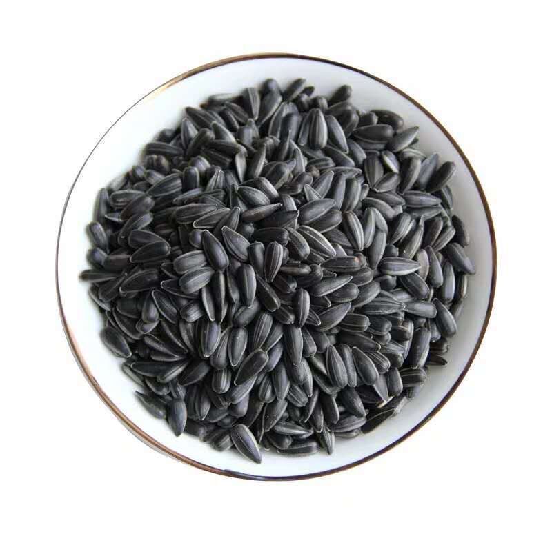 黑珍珠小油葵种子原味炒熟瓜子内蒙新货生油葵种籽小瓜子零食小吃