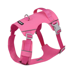 2025新款夏季狗狗专用胸背带大中型犬小狗绳子牵引绳不勒脖高颜值
