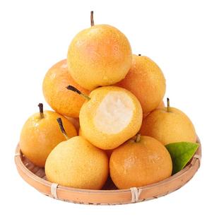 鞍山南果梨5斤包邮南国梨海城东北特产香水梨子新鲜冻梨孕妇水果