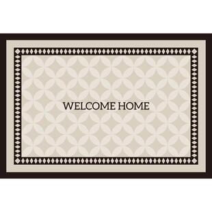 高级感入户门地垫大门口地毯脚垫子门垫进门家用耐脏免洗玄关门外