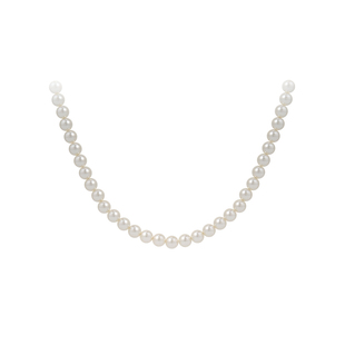 极细小米珠仿珍珠项链女款2025新款颈链高级感轻奢小众气质锁骨链