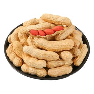 山东四粒红花生种子春秋高产红皮花生种孑农家四季种植榨油花生籽