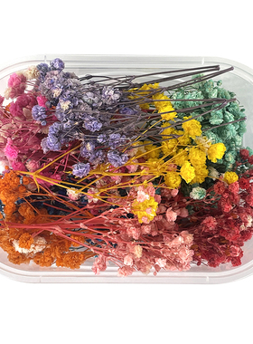 满天星勿忘我干花盒装diy花材