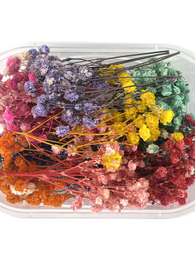 满天星勿忘我干花盒装diy花材